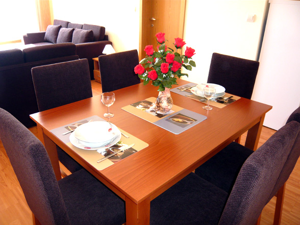 C308 Dinning Table