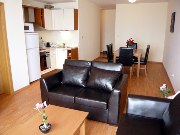 C309 Spacious Living Area
